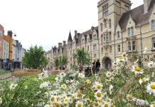 Flowers in front of Balliol College