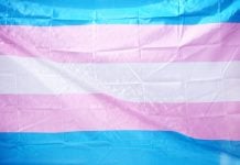 The transgender flag, composed of five horizontal stripes: light blue at top and bottom, followed by light pink and white in the middle.