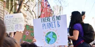 A young person holds a banner adorned with the words 'There Is No Planet B'.
