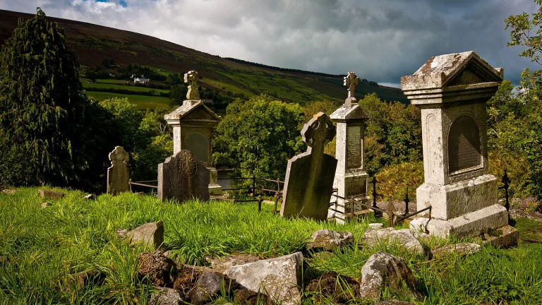 The Saintly Lives of Students