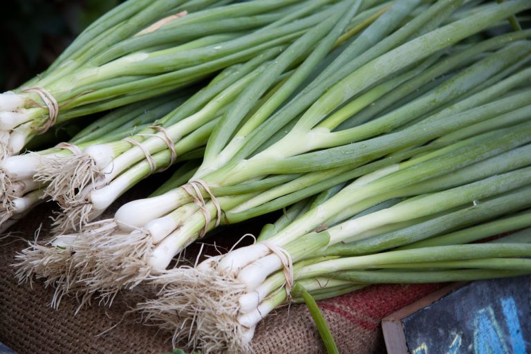 An ode to the spring onion
