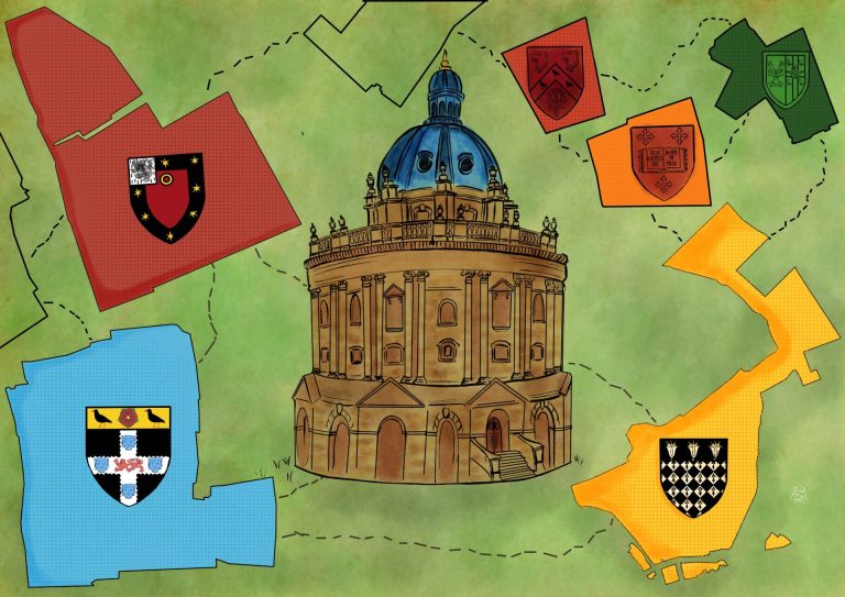 The hidden Oxford experience: Transparency in college disparities