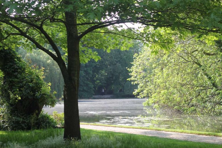 Worcester Lake is leaking, the college appeals for ‘urgent’ repairs