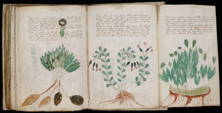 Books you can’t sink your teeth into: A brief look into unsolvable manuscripts