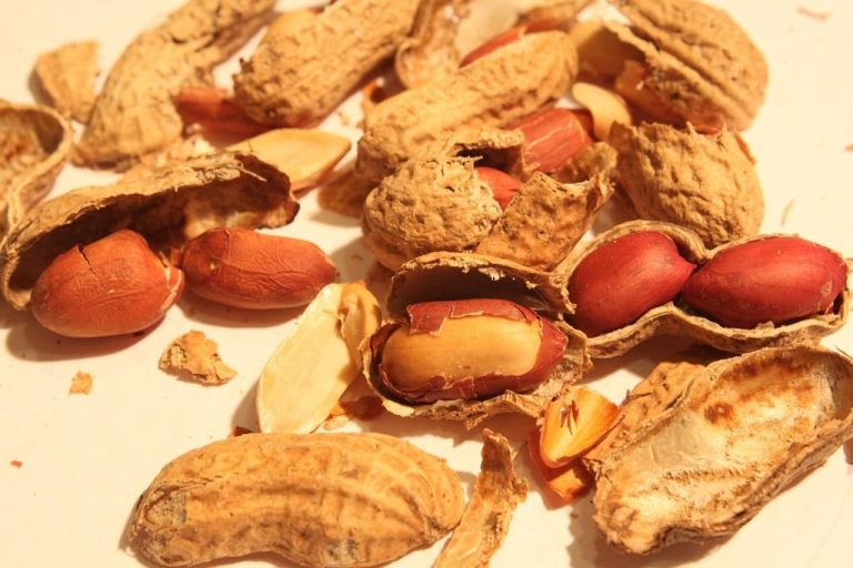 Oxford researcher wins lawsuit over peanut allergy research plagiarism