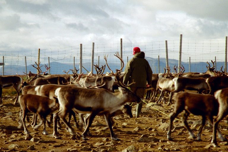Oxford researchers call for recognising lifestyles of Mobile Indigenous Peoples