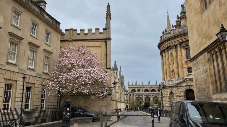 UK unis’ global reputations are at risk