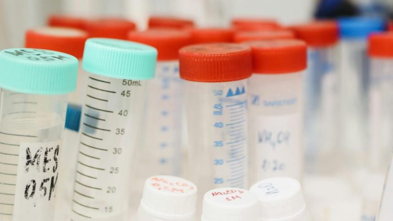 Oxford team unveils AI-powered test to detect cancer early