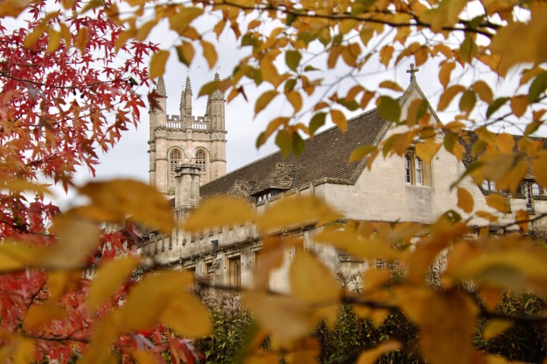 A bell tower peeks out between orange autumn leaves.