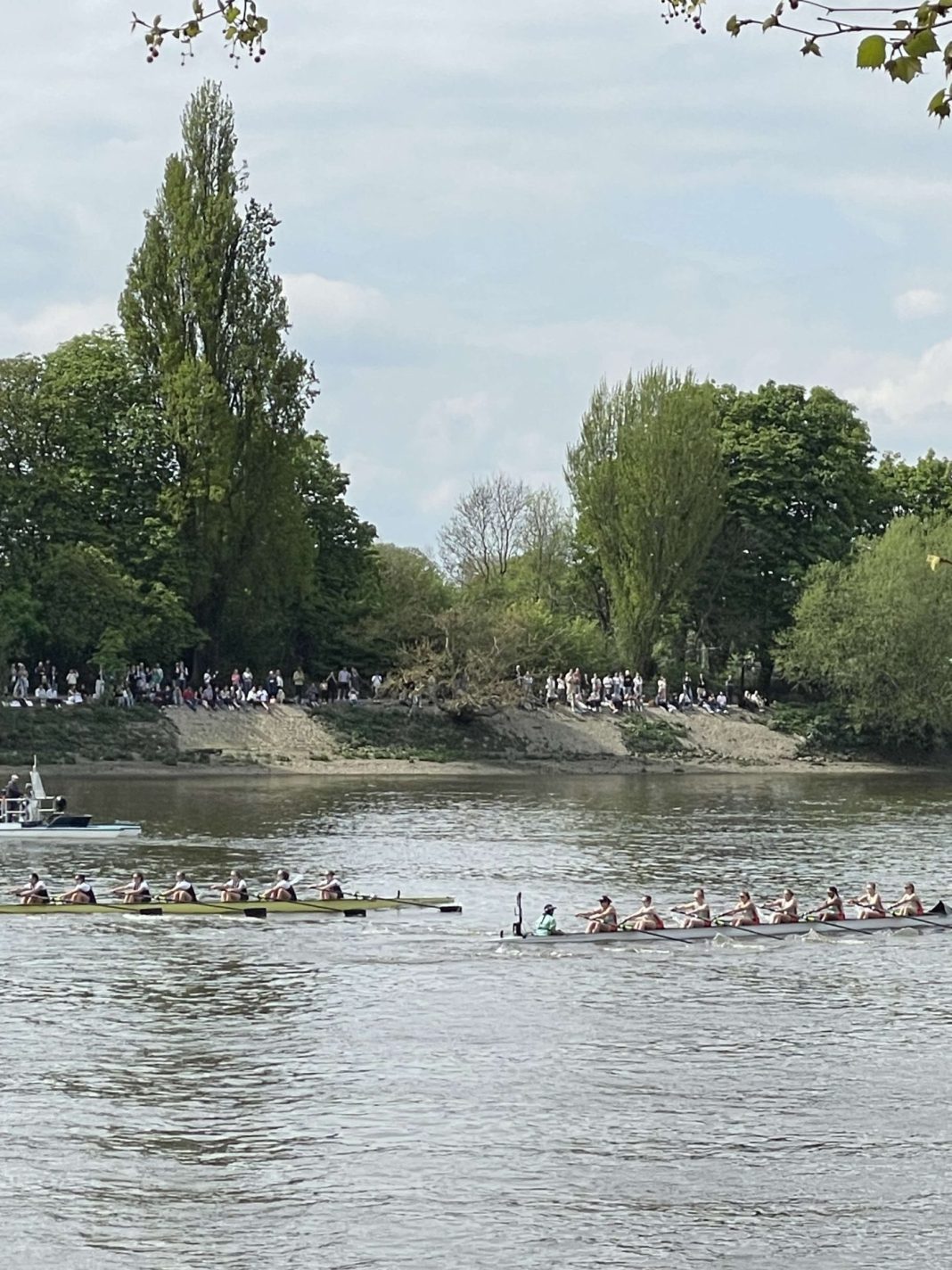 clean sweep