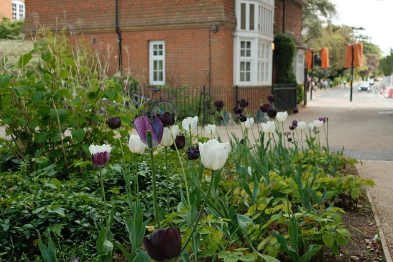 Beauty without a purpose: Nature and the Oxford mind