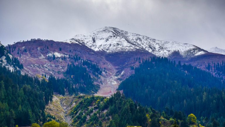 Kashmir: Radicalising a diaspora