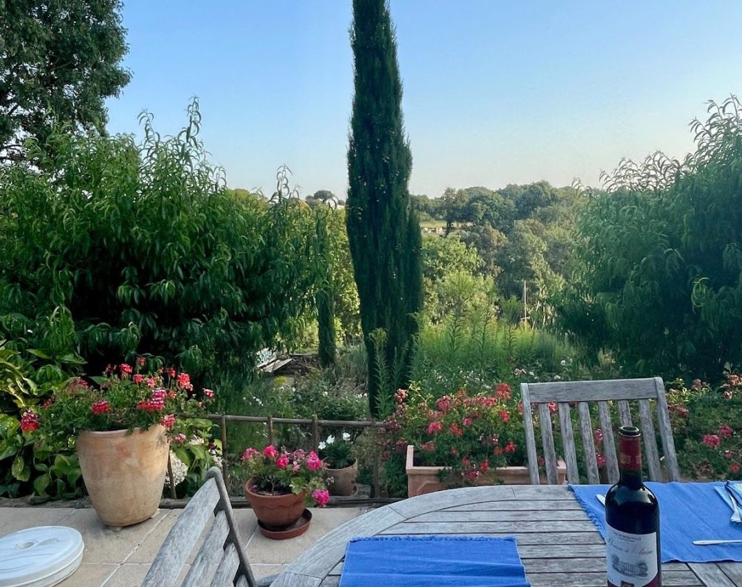 Morning view from breakfast table