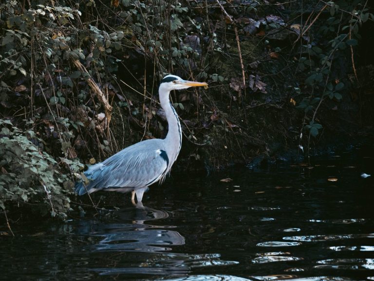 6 Wildlife Destinations Perfect for Students to Rejuvenate and Recharge