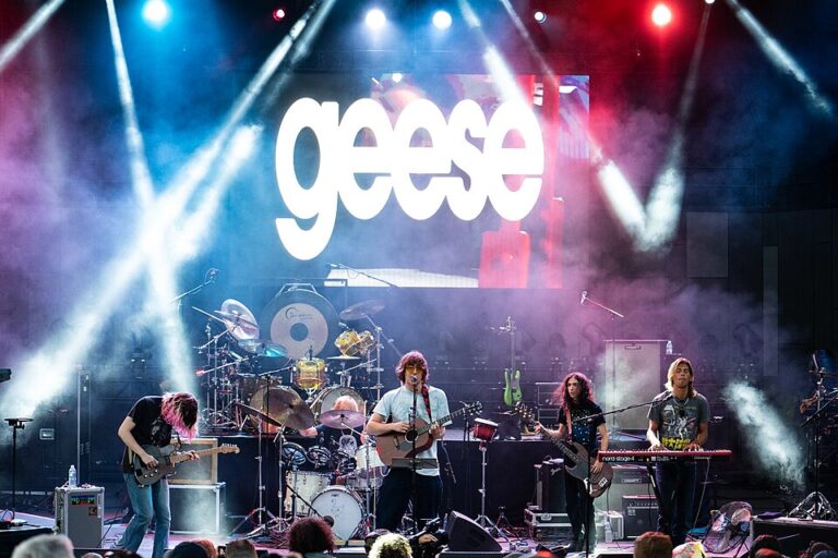 On Geese and the Cult of the Fake Fan