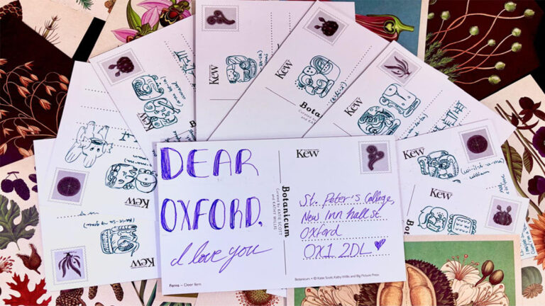 A love letter to my year abroad 